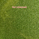 AppleStars vert étincelant : l'étoile