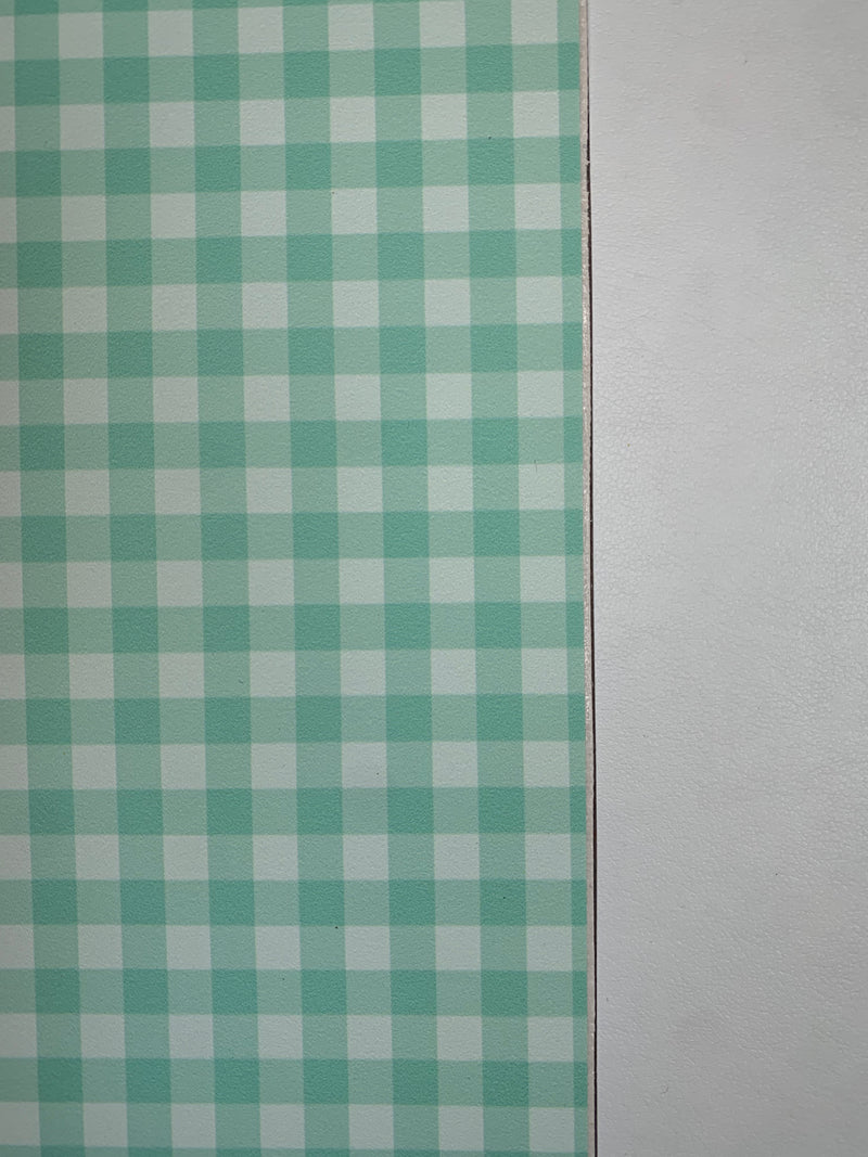 Vichy vert d'eau - AppleSkin blanc