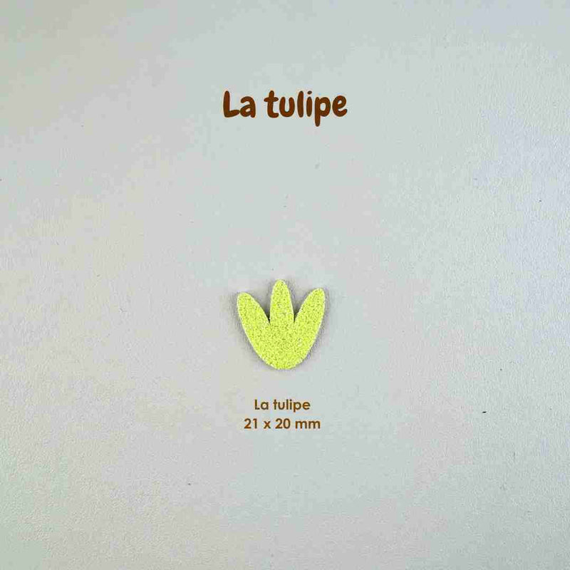 AppleStars jaune soleil : la tulipe