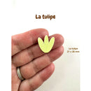 AppleStars Jaune soleil : la tulipe