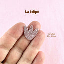 AppleStars or rose : la tulipe