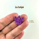 AppleStars Violet : la tulipe