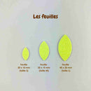 AppleStars jaune soleil : les feuilles